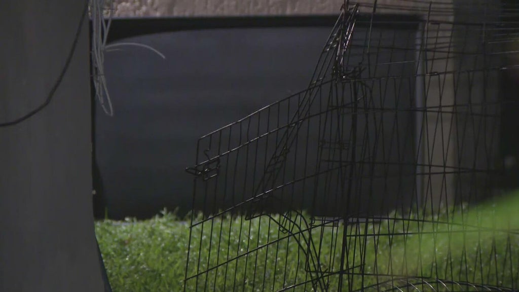 911 call captures frantic report of dog chasing, biting children in Miami — CBS Miami, Abilene Health news