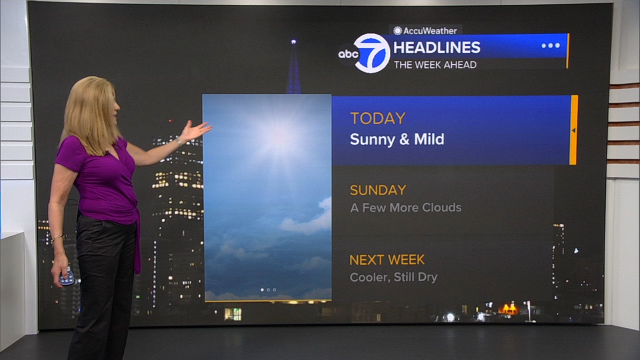 AccuWeather Forecast: Sunny and mild
— ABC 7 Bay Area, Abilene Community news