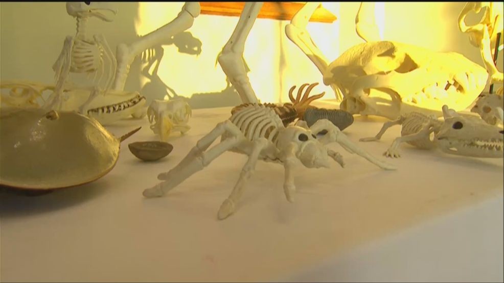 Halloween at the Castle offered day of spooky science Saturday — Fox 11 Green Bay Local, Abilene Arts news