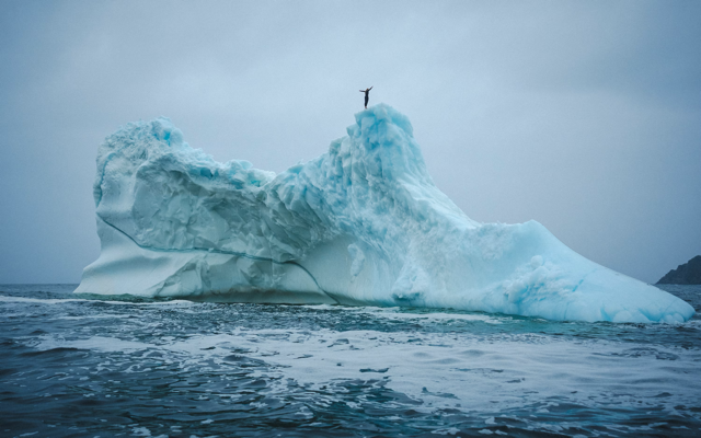 Cliff diver Molly Carson makes history, becomes first woman to dive off iceberg — WPBF Sports Palm Beach, Abilene Sports news
