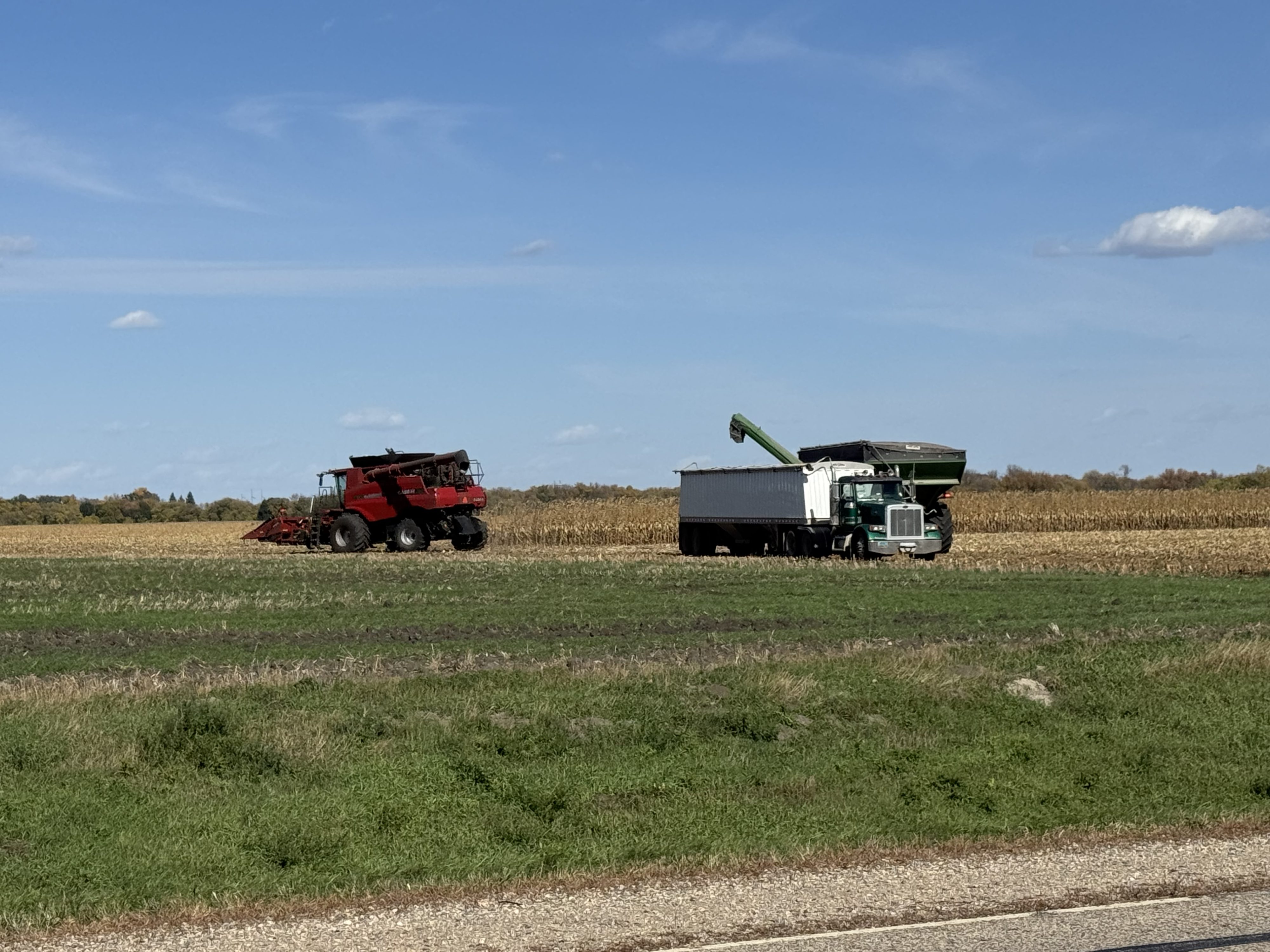 USDA announces record 2025 crop year safety net program payments — KFGO, Abilene Community news