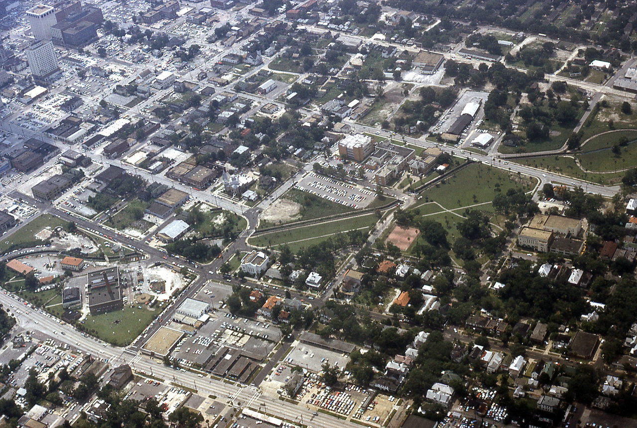 THE JAXSON | The oak tree that remembers Black Bottom — Jacksonville Today, Abilene Schools news
