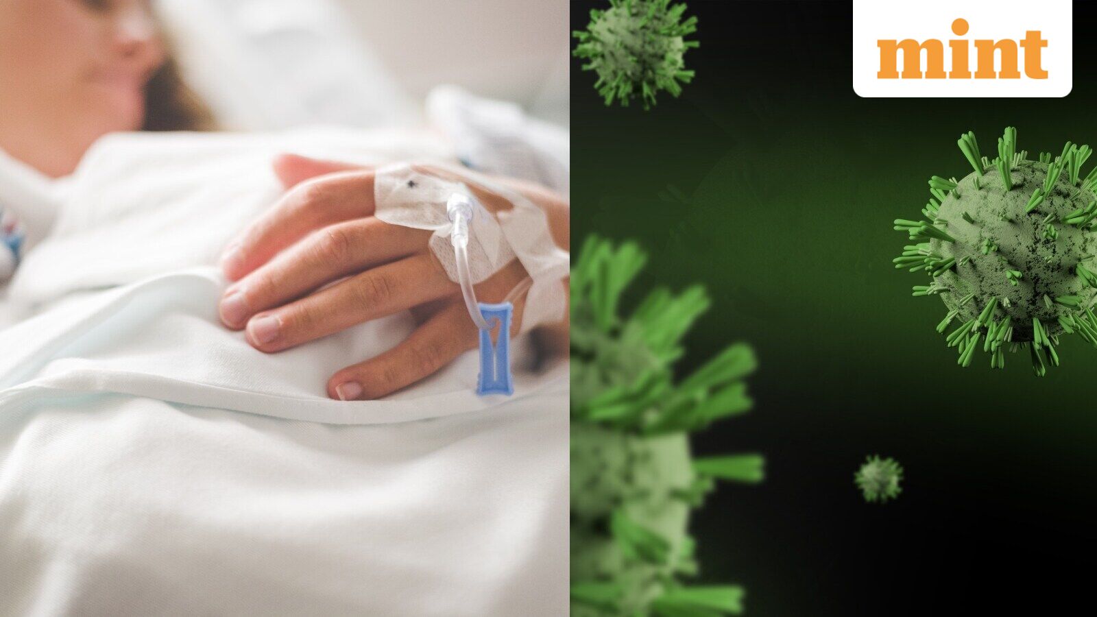 What is Shamonda virus? How is it transmitted? ECDC monitoring situation as France reports first, rare human case — Mint India, Abilene Technology news